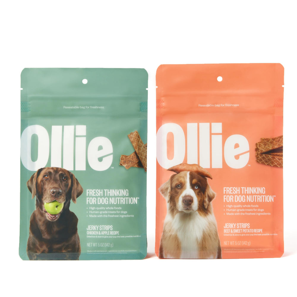 Ollie Jerky variety pack chicken-apple 5oz, ideal for training rewards.