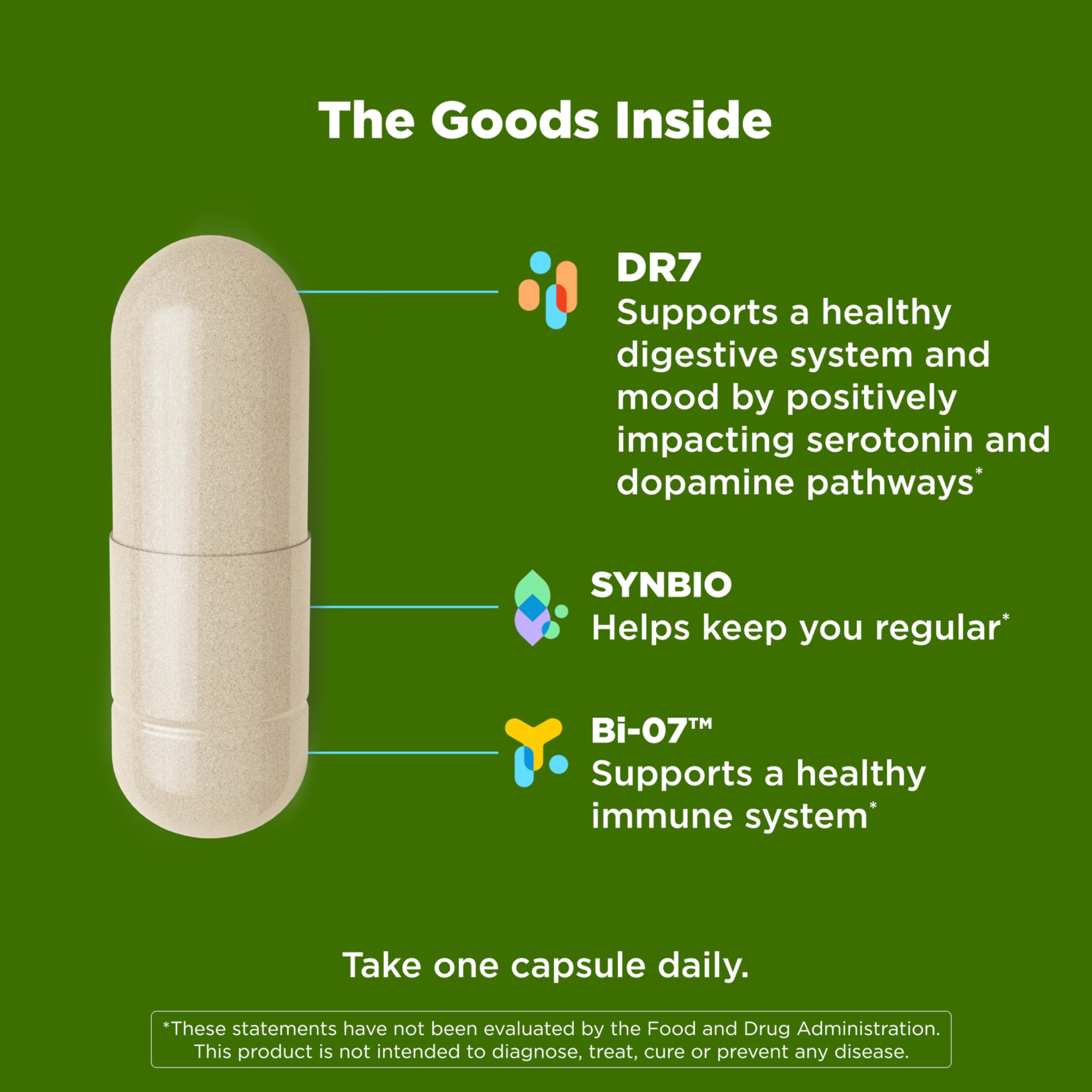 OLLY Big 10 Probiotic ingredients highlight multiple strains for digestion.