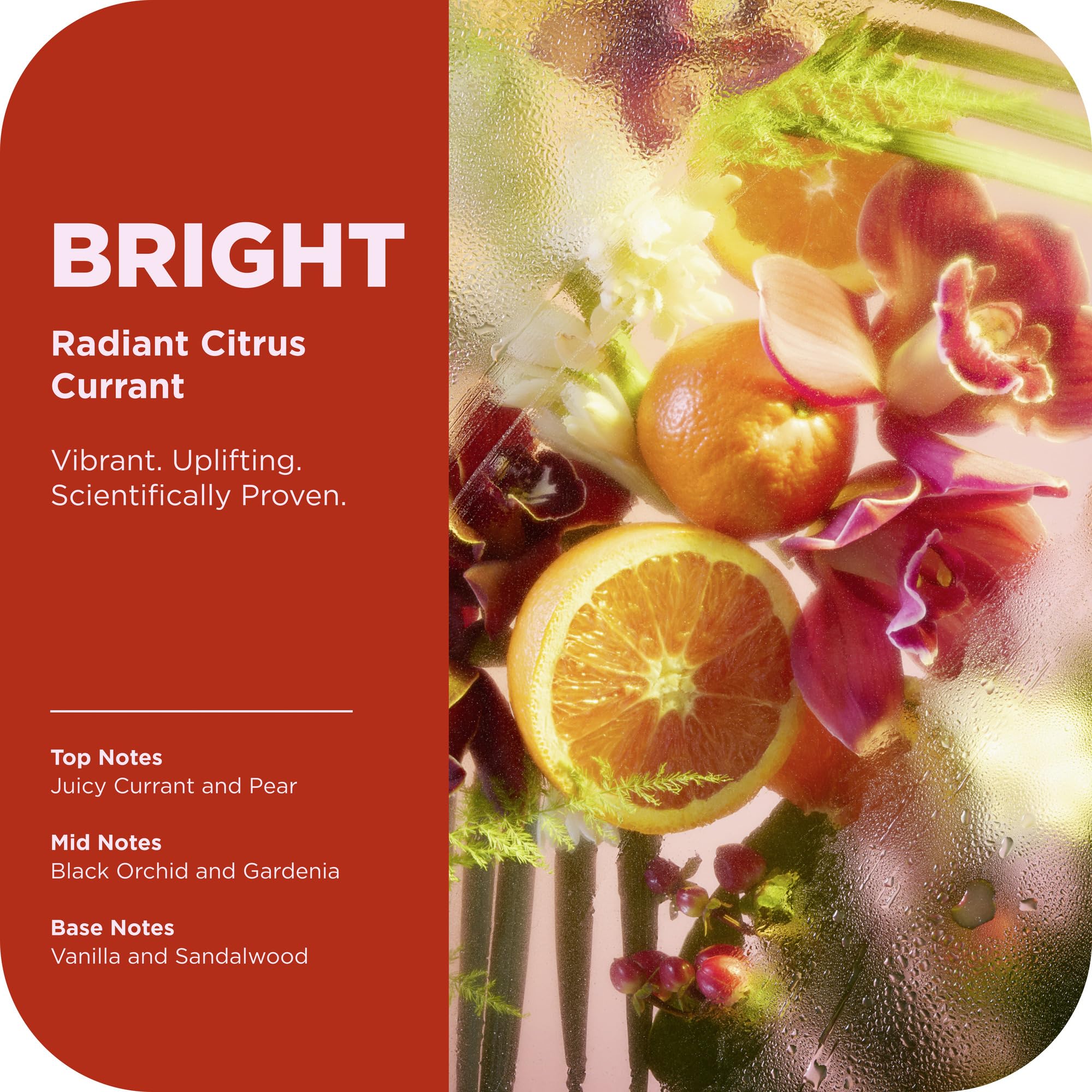 OLLY Bright Body Wash fragrance-scent provides uplifting citrus notes.
