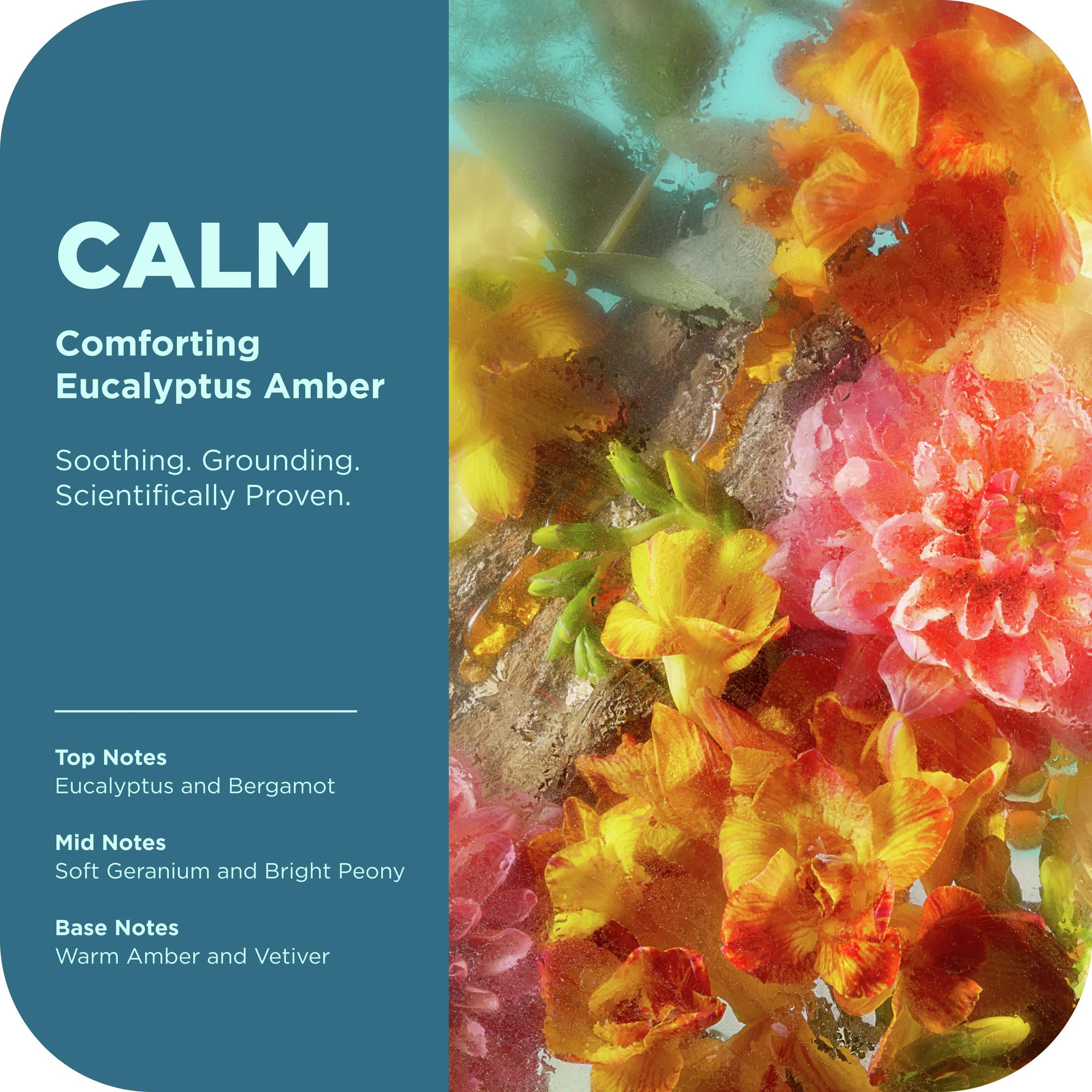 OLLY Calm Mood Skin Body Wash foamy lather demonstrates soft cleansing.
