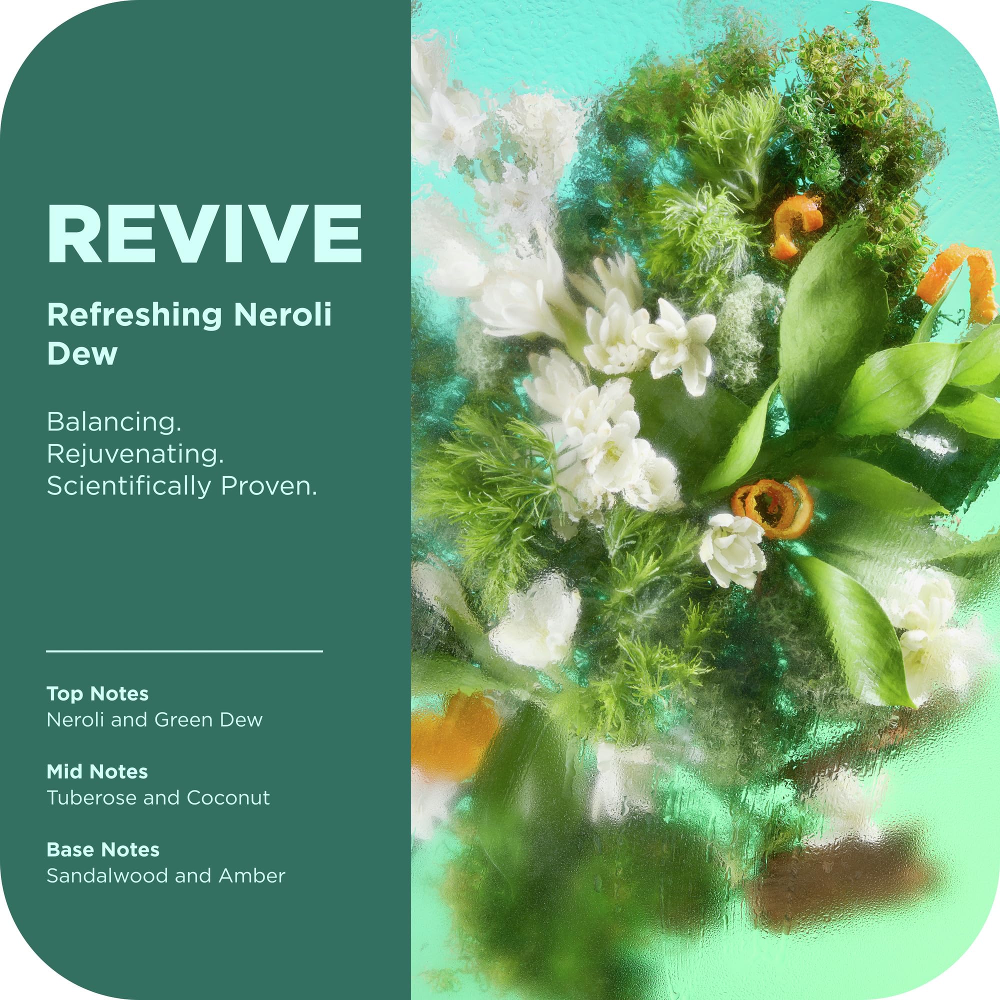 OLLY Revive Body Wash neroli dew scent close-up evokes mood-boosting shower