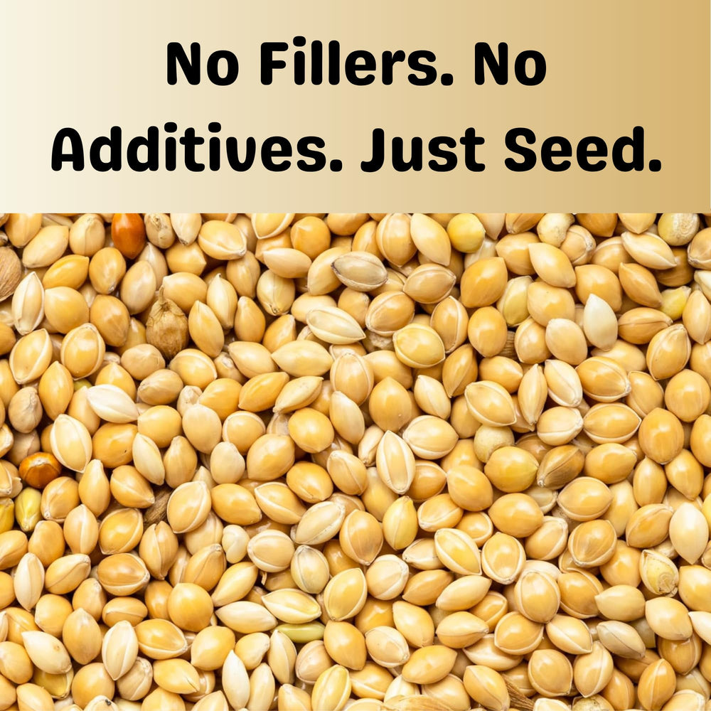 Olympus Myco White Proso Millet Seed bag front highlights natural bird feed quality.