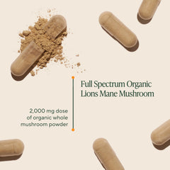 Closeup of Om Lion’s Mane capsules showing texture and dosage details.