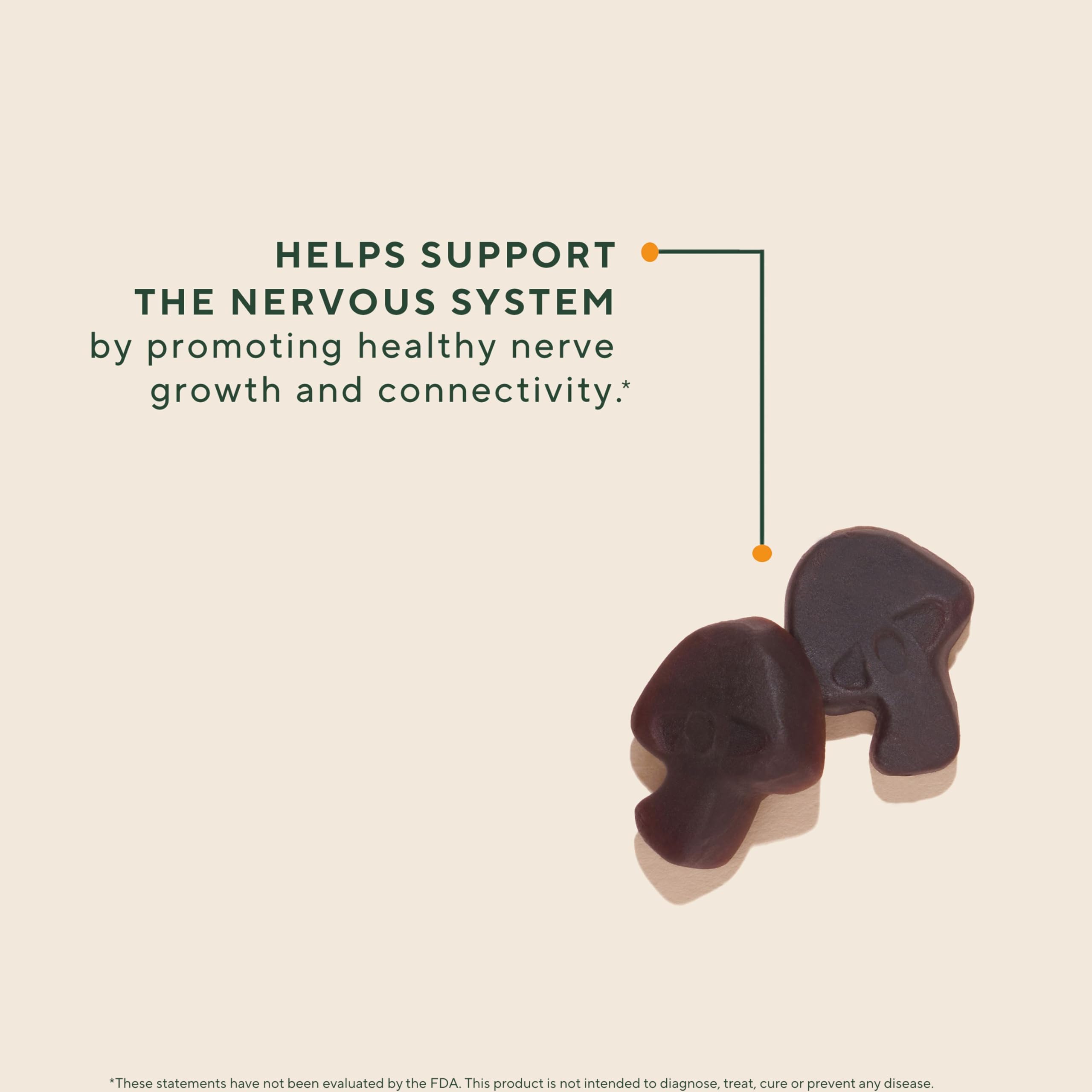 Closeup of OM Mushroom Superfood Lions Mane Gummies strawberry detail