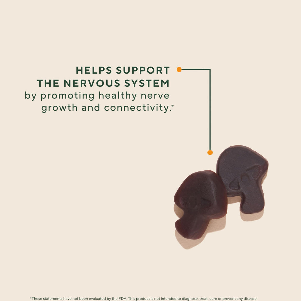Closeup of OM Mushroom Superfood Lions Mane Gummies strawberry detail