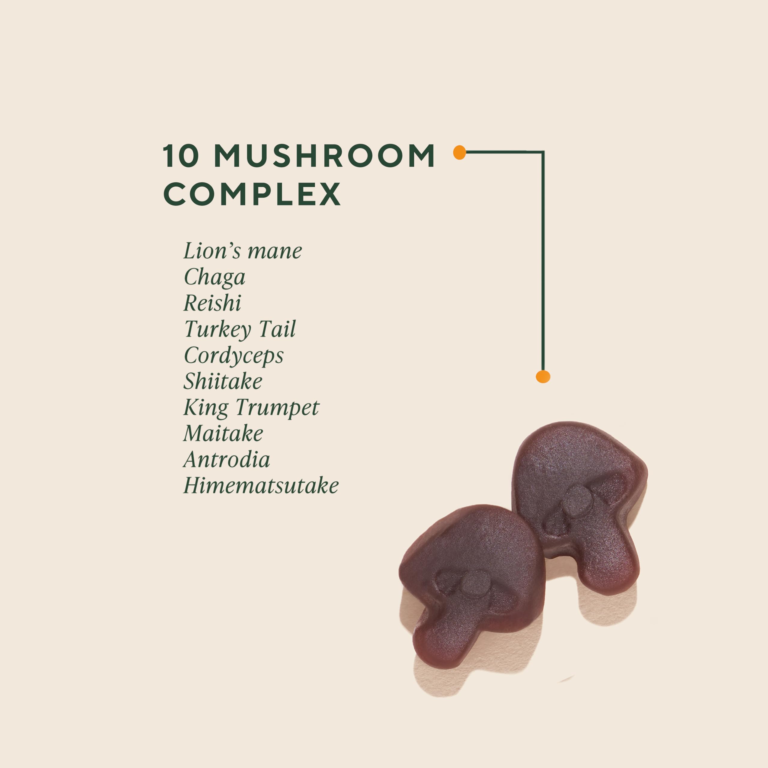 Gummies in a serving bowl highlight OM Mushroom Superfood Master Blend's mixed berry flavor