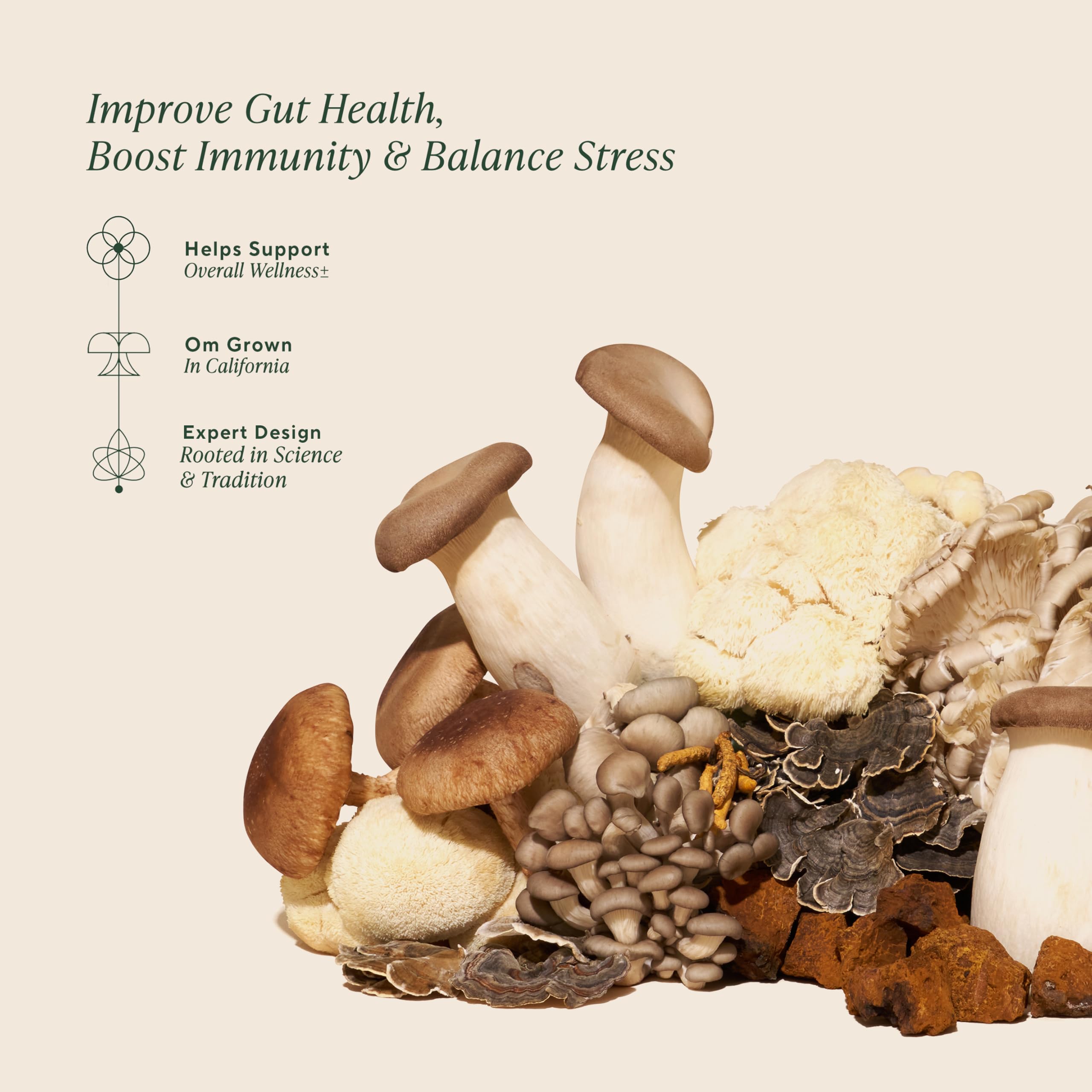Vibrant bottle label with ashwagandha icon hints at stress-support potential
