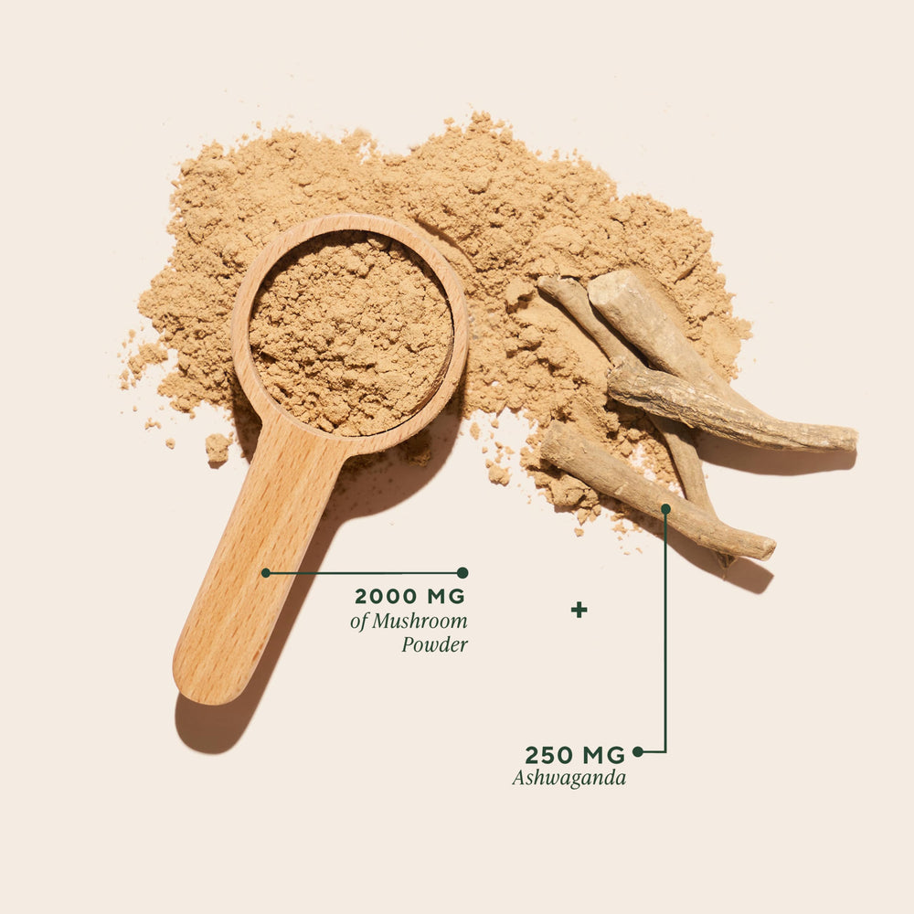 OM Mushrooms Master Blend in smoothie for immune and gut support