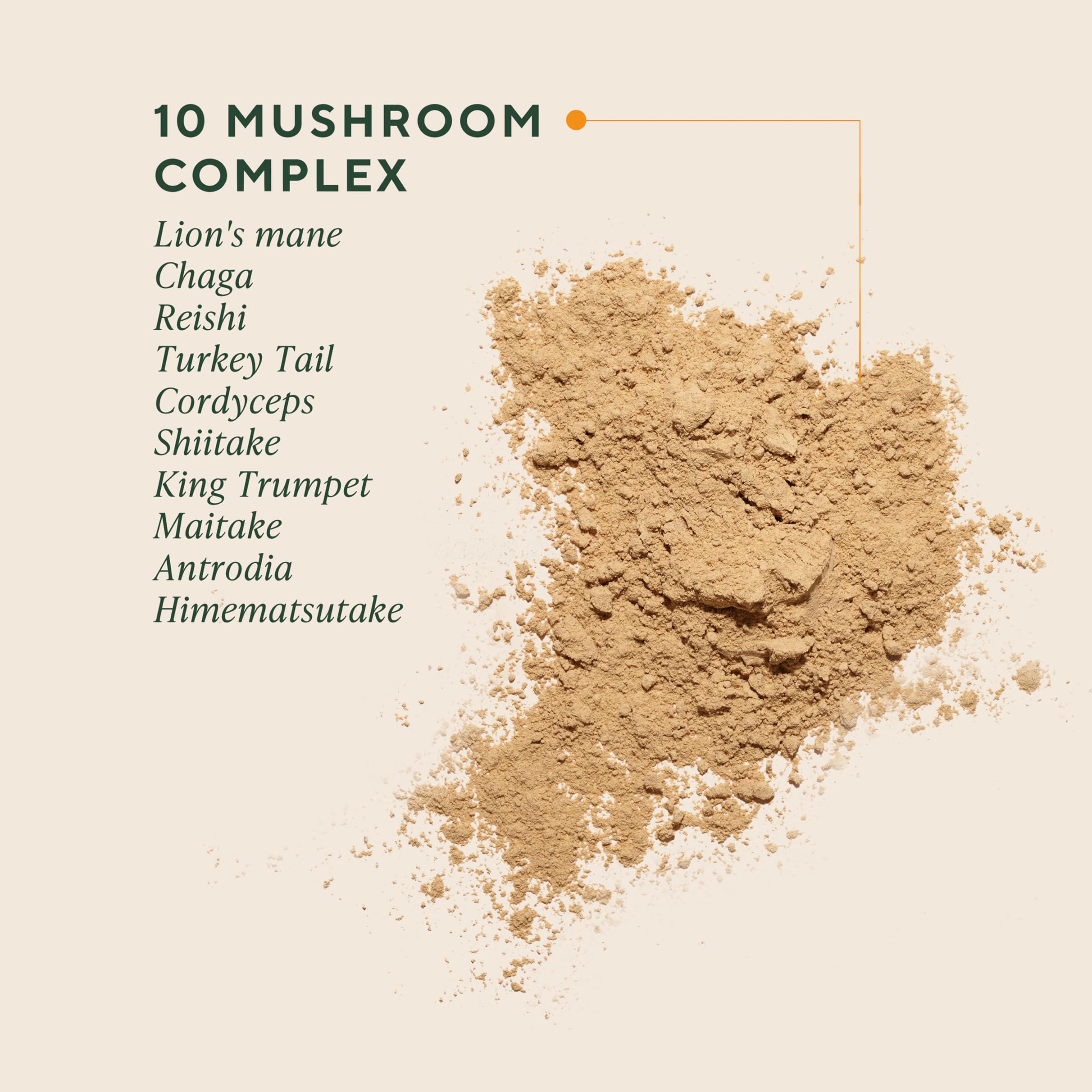 OM Mushrooms Master Blend with dosing scoop for easy daily dosing