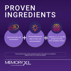 OmegaXL MemoryXL bottle on desk aids daily focus and learning.