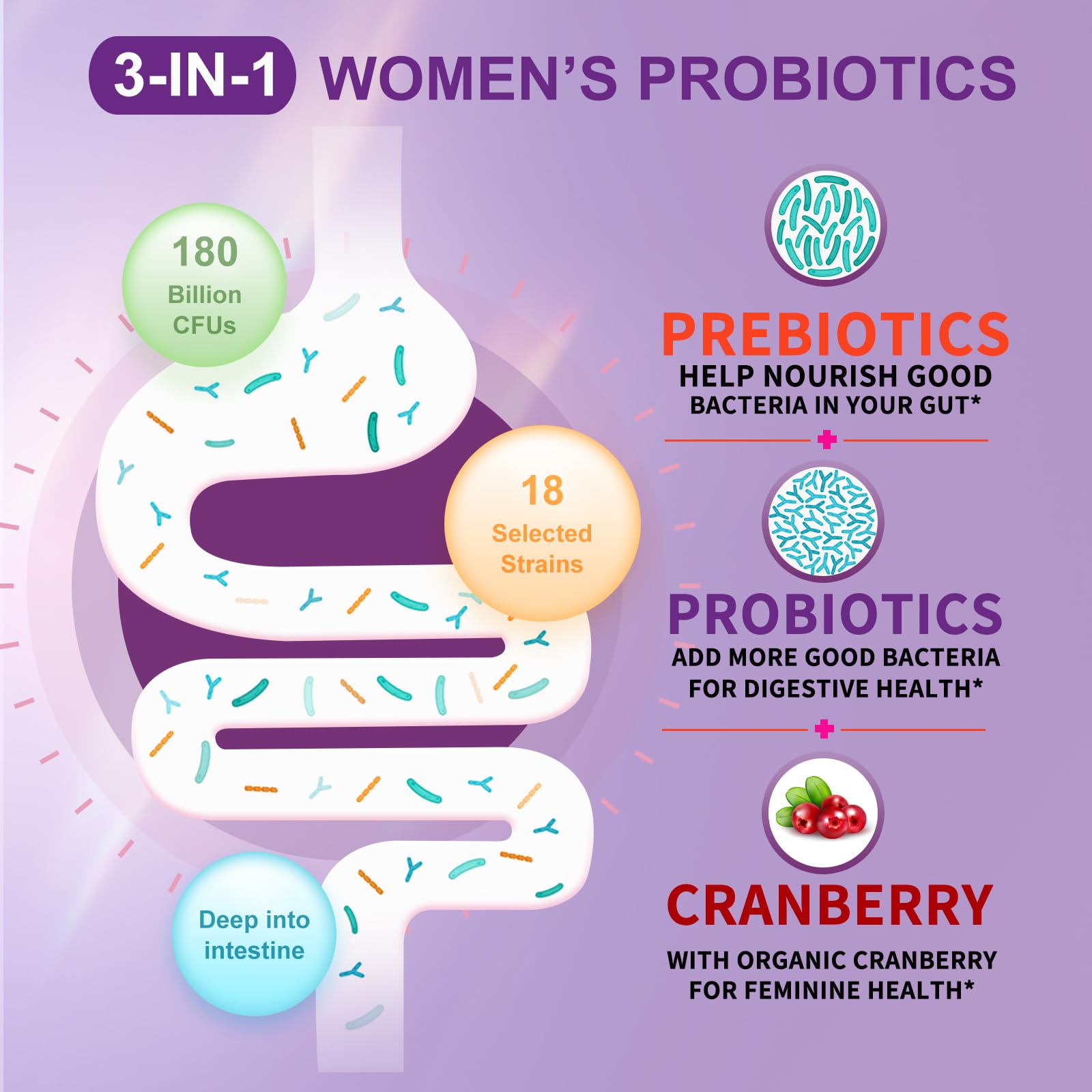 Two-bottle OMOGS probiotic set arranged for daily use