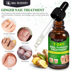OMZOK ginger nail serum applying on nails for nourishment