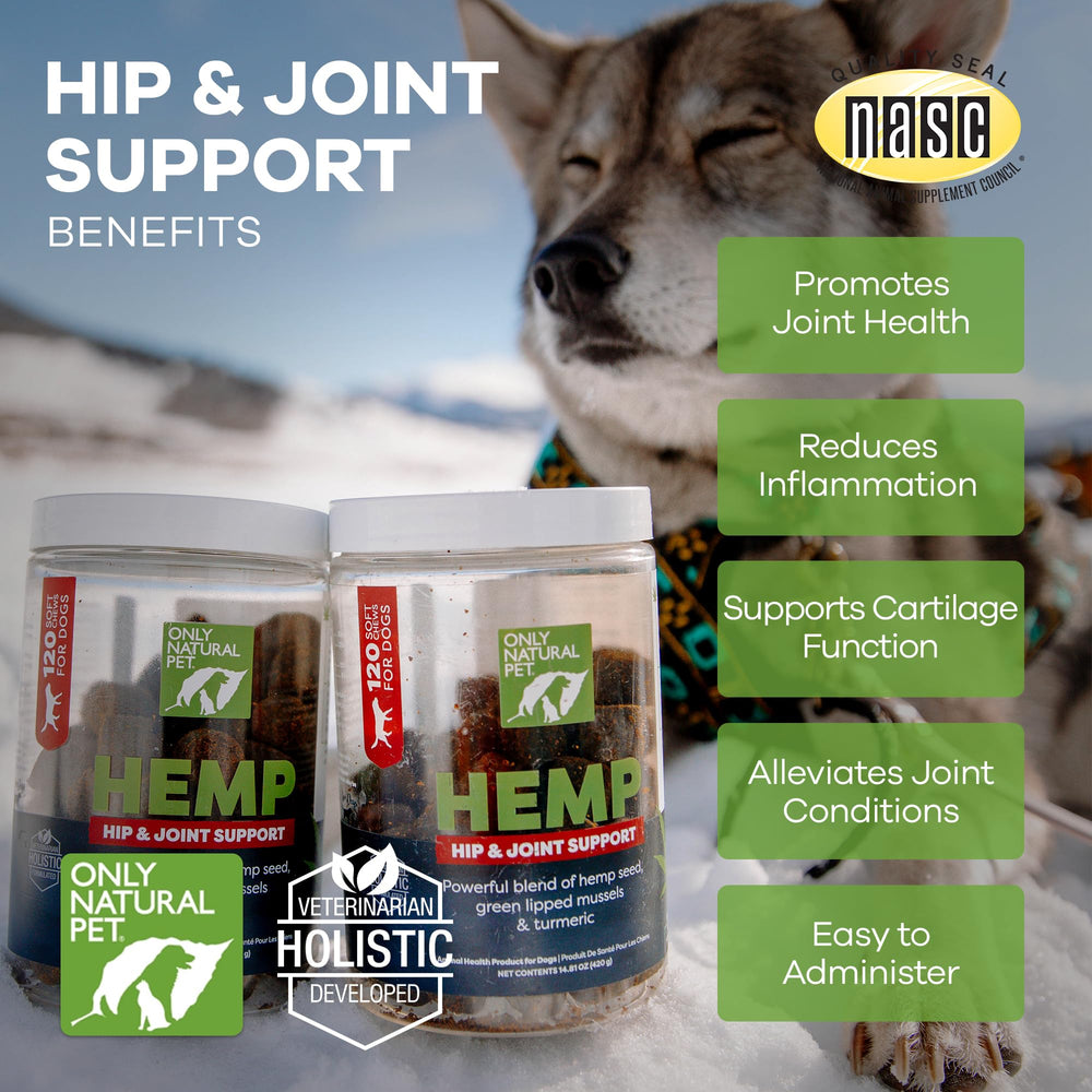 Only Natural Pet Hemp Hip & Joint chew in dog’s mouth supporting movement.
