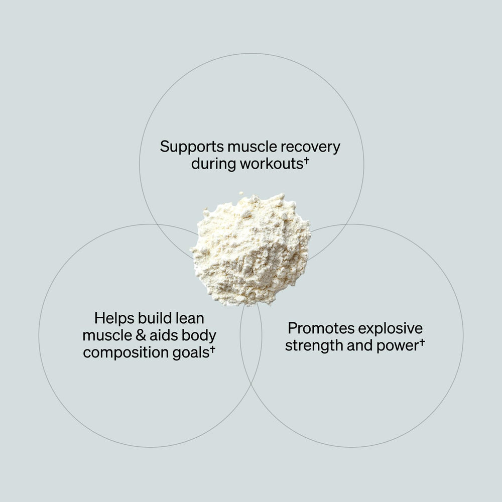 ONNIT Creatine Monohydrate Powder keto-friendly icon underscores low-carb compatibility.