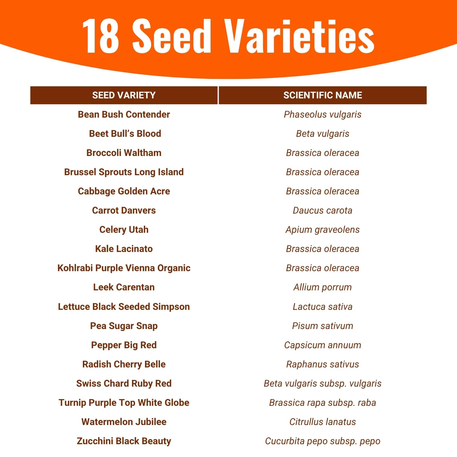 Open Seed Vault bulls-blood-beet-packet brings vibrant roots for fresh salads