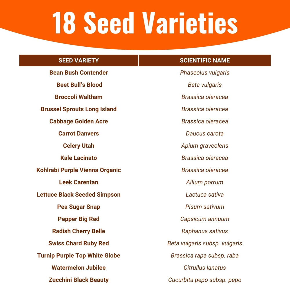 Open Seed Vault bulls-blood-beet-packet brings vibrant roots for fresh salads