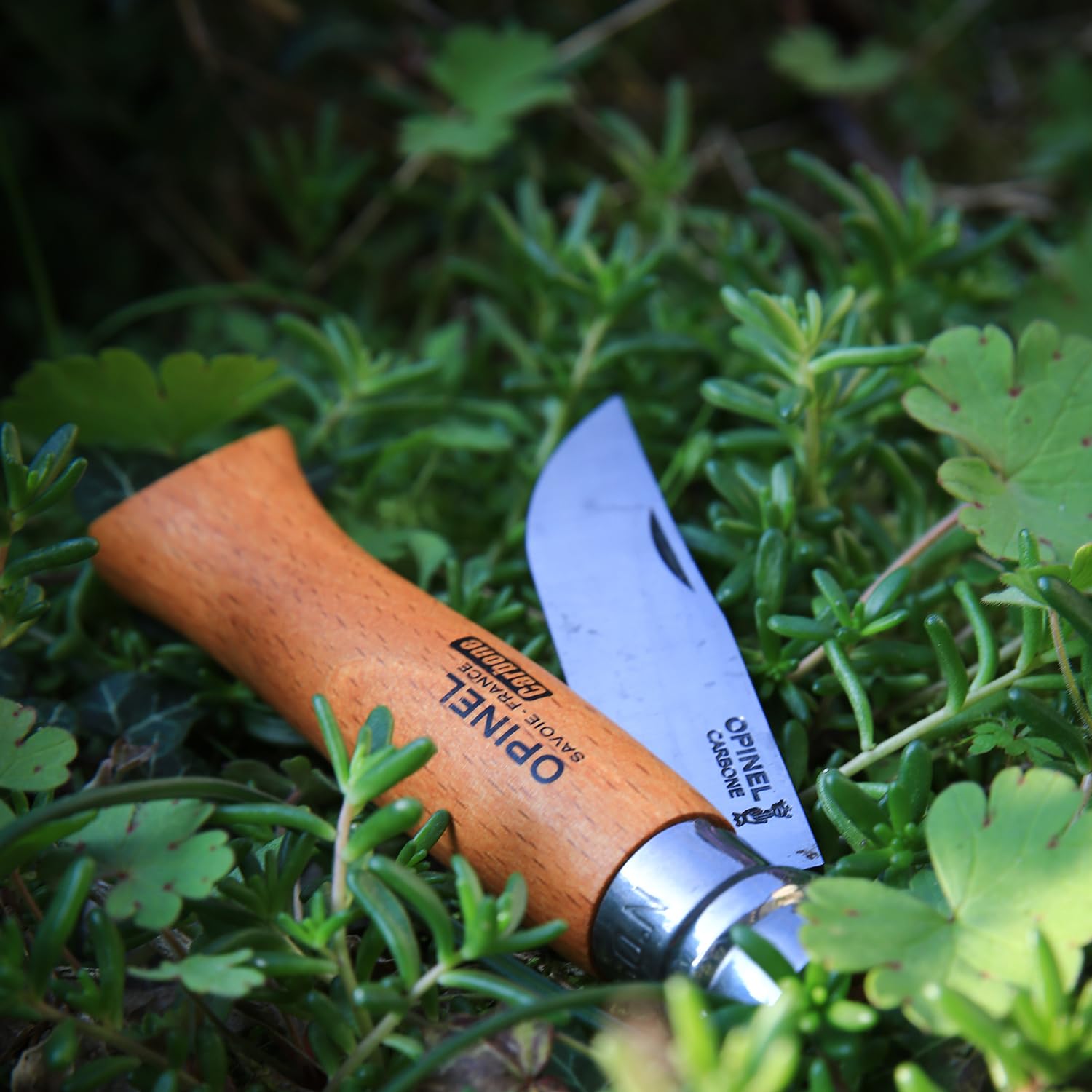Opinel No. 08 Carbone Alps-region beechwood visible in frame.