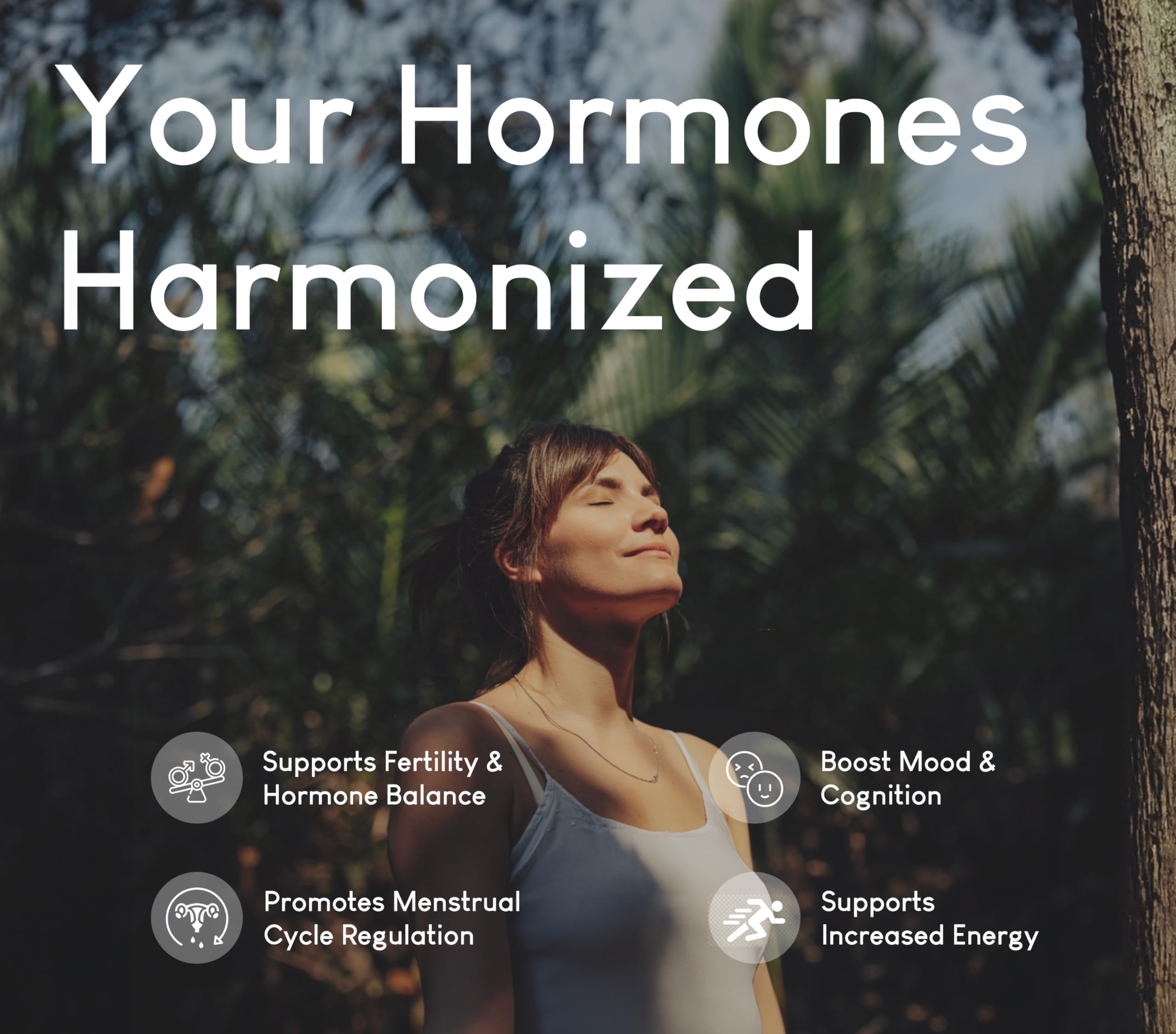 Optimal Carnivore organ blend capsules featuring liver kidney and heart for nutrient density