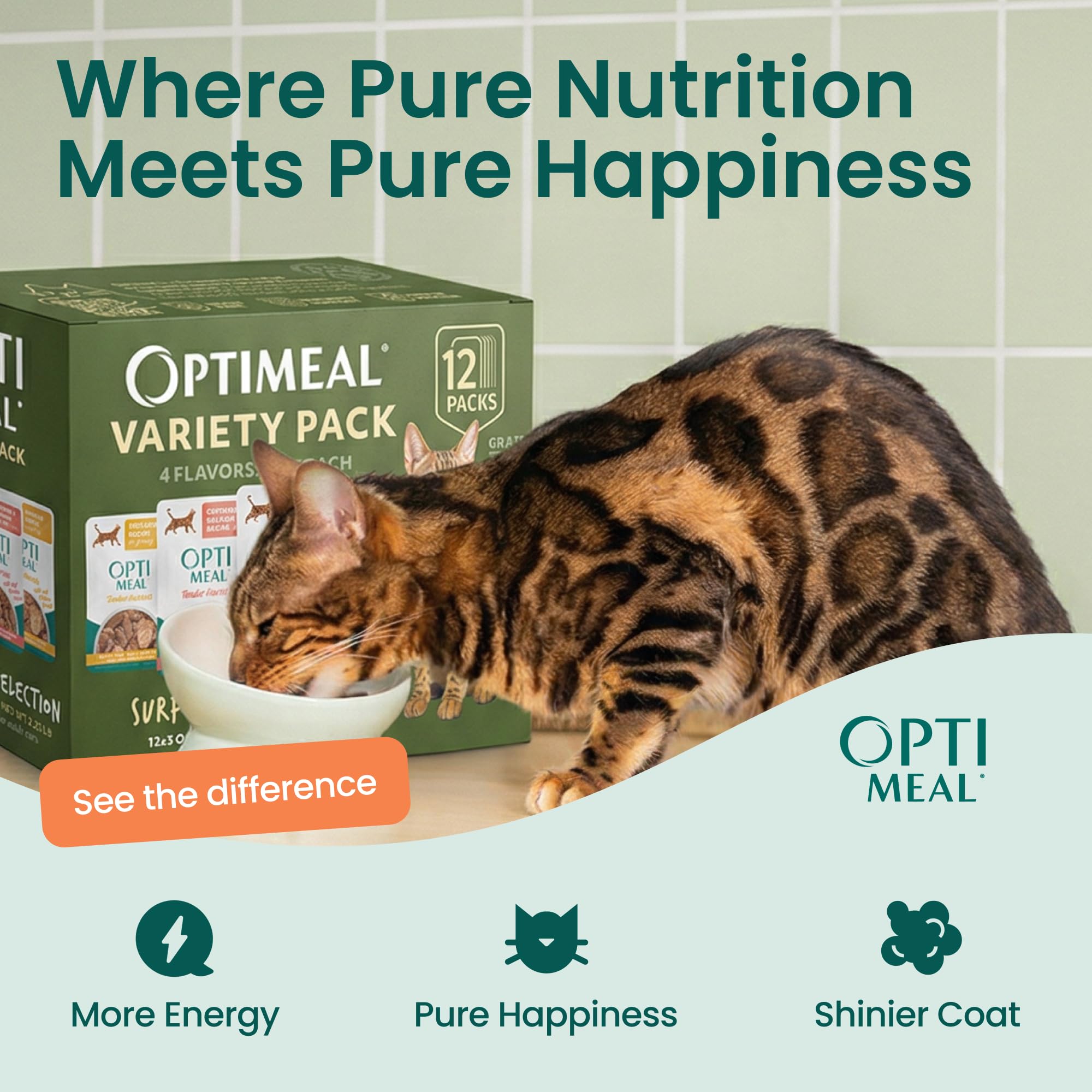 Optimeal cat enjoying a meal with convenient single-serve pouches