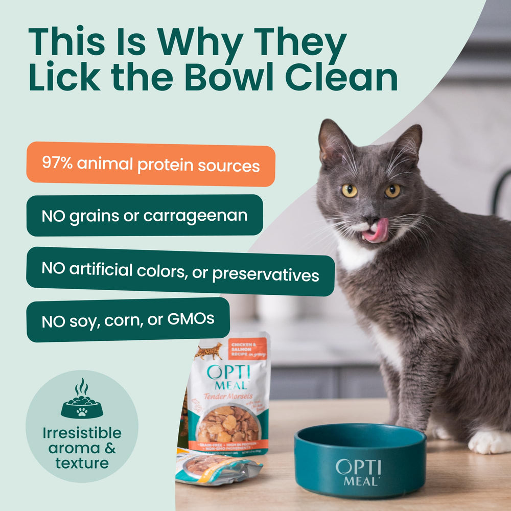 Optimeal complete balanced nutrition supports daily energy in cats