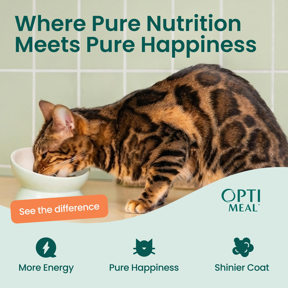 Optimeal 12-pack 3oz pouches for convenient daily feeding