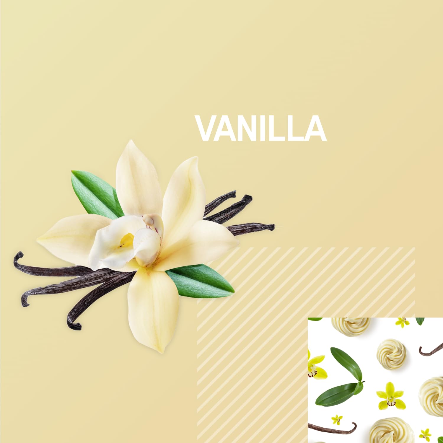 Optimum Nutrition Gold Standard Vanilla ready-to-drink shake, ideal for quick protein anytime