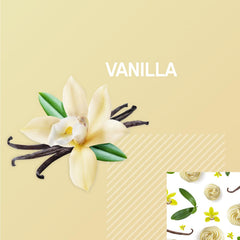 Optimum Nutrition Gold Standard Vanilla ready-to-drink shake, ideal for quick protein anytime