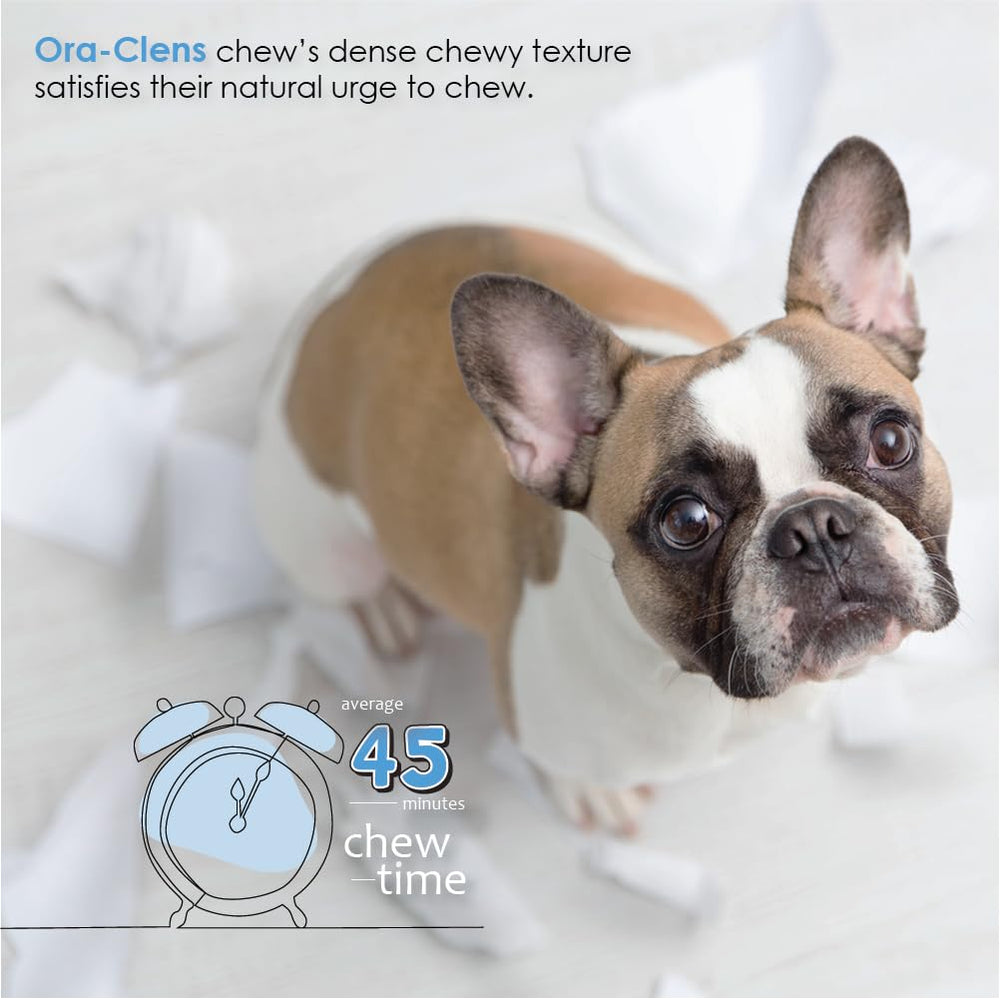 Ora-Clens puppy-friendly flavor appeals to dogs during routines