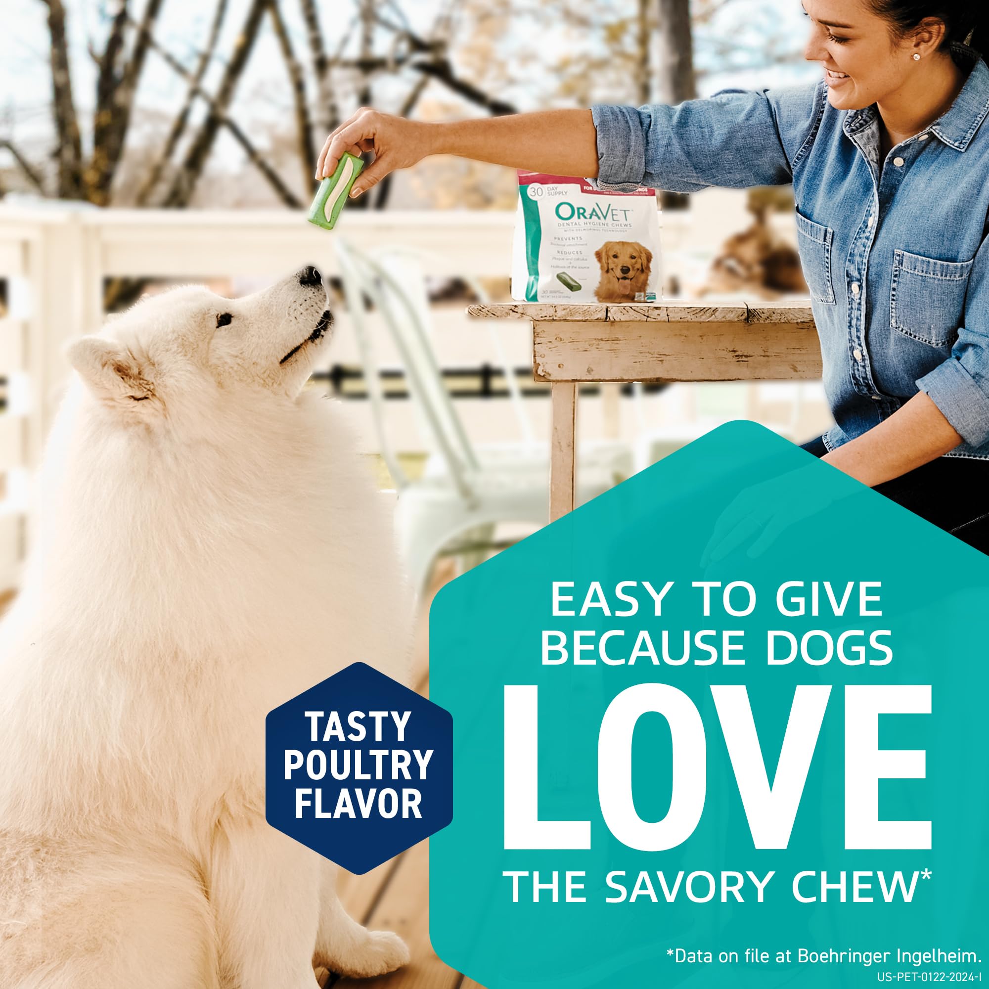Owner presents OraVet during daily dental routine for convenient care