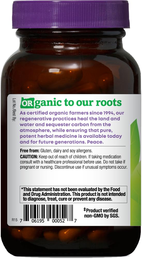 Fresh ginger root bundle illustrating natural origin and aroma