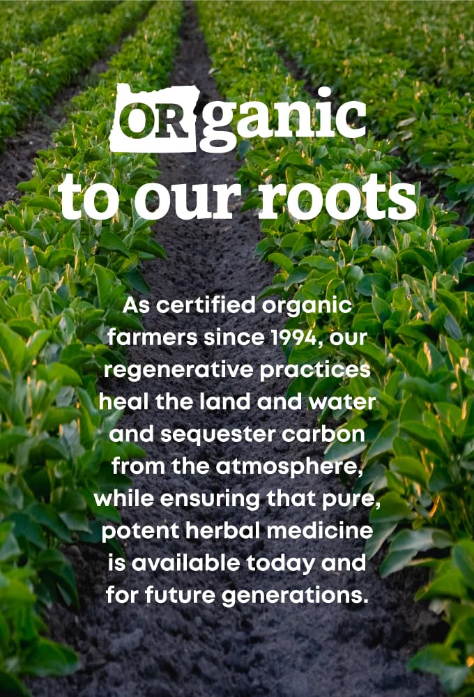 Oregon's Wild Harvest Kelp bottle indicates no artificial ingredients.