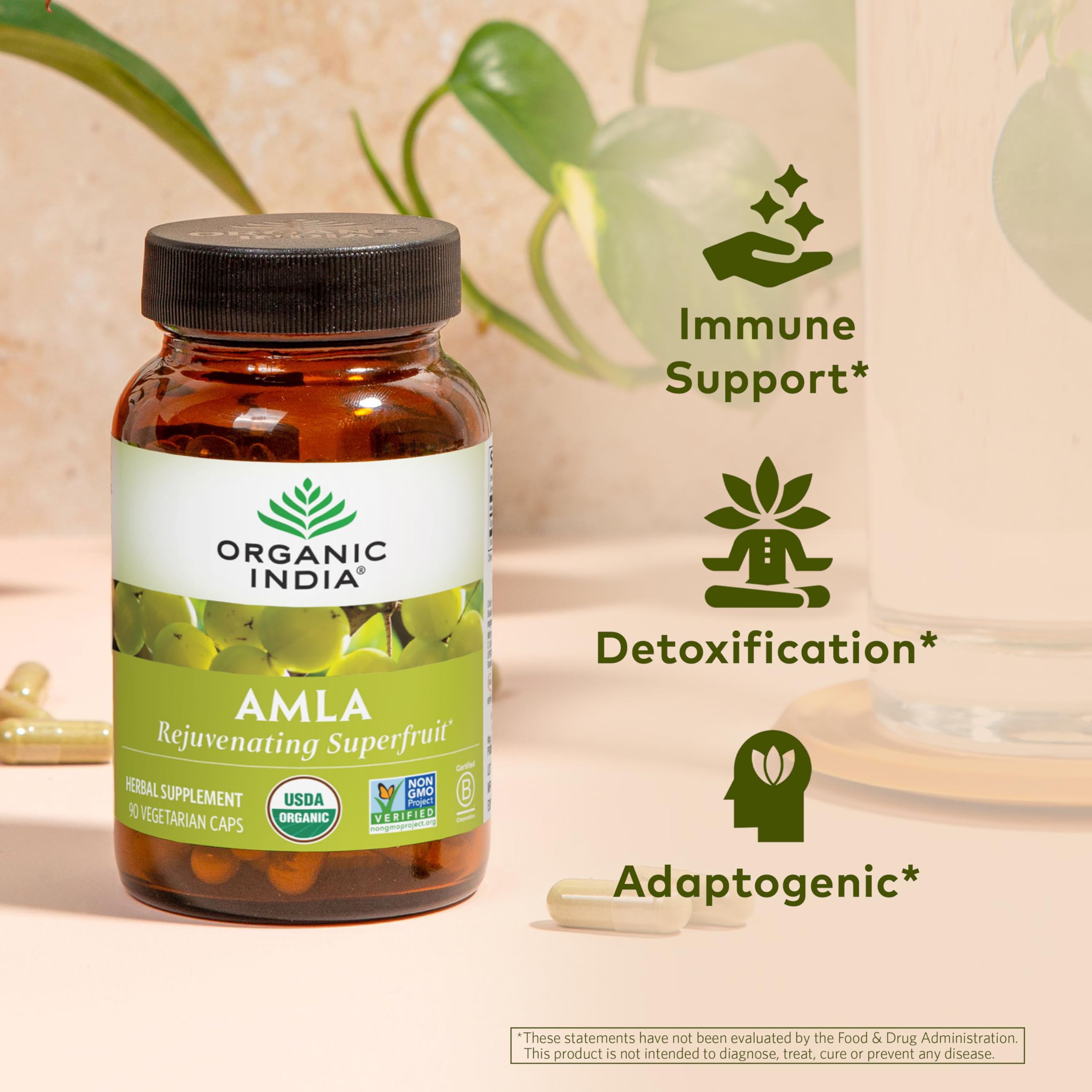 Organic India Amalaki bottle back showing vegan and gluten-free attributes