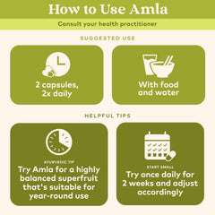 Organic India Amalaki capsules 90-count for daily supplementation