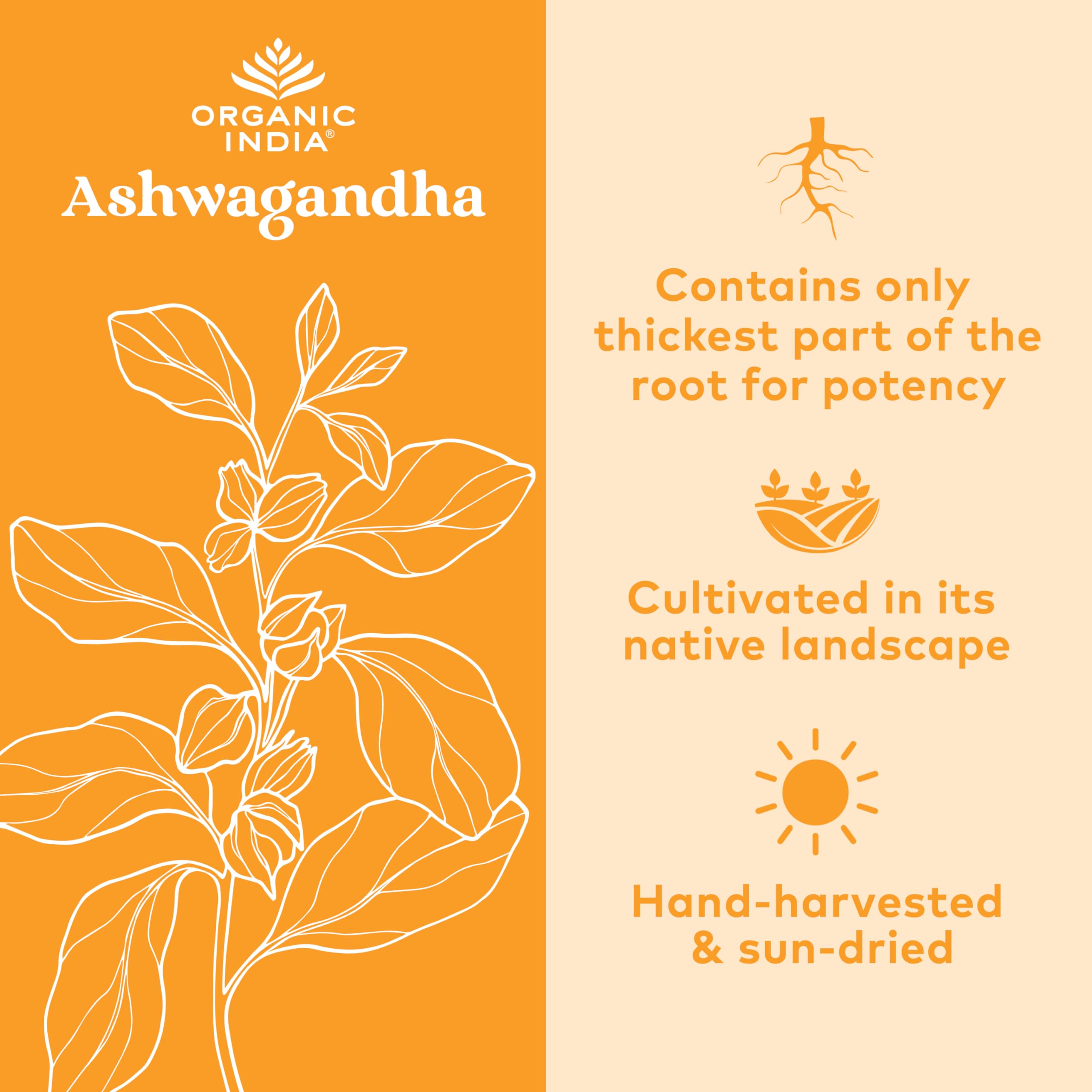 Organic India Ashwagandha packaging box shown in a daily wellness routine.