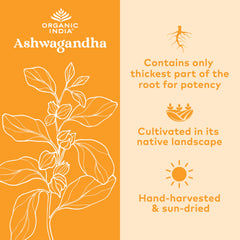 Organic India Ashwagandha packaging box shown in a daily wellness routine.