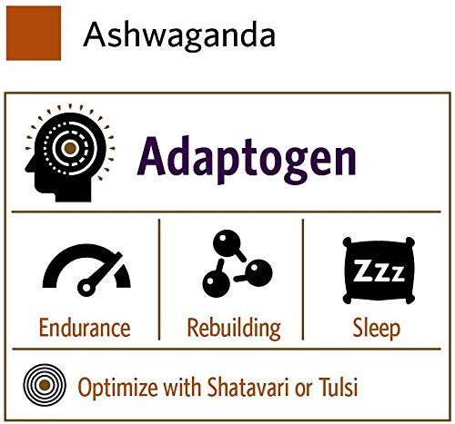 ORGANIC INDIA Ashwagandha powder in smoothie blending for daily vitality