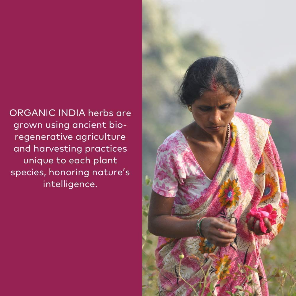 ORGANIC INDIA Ashwagandha powder in spoon ready for mixing into beverages