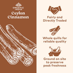 ORGANIC INDIA Ceylon Cinnamon capsules in palm for a quick daily supplement
