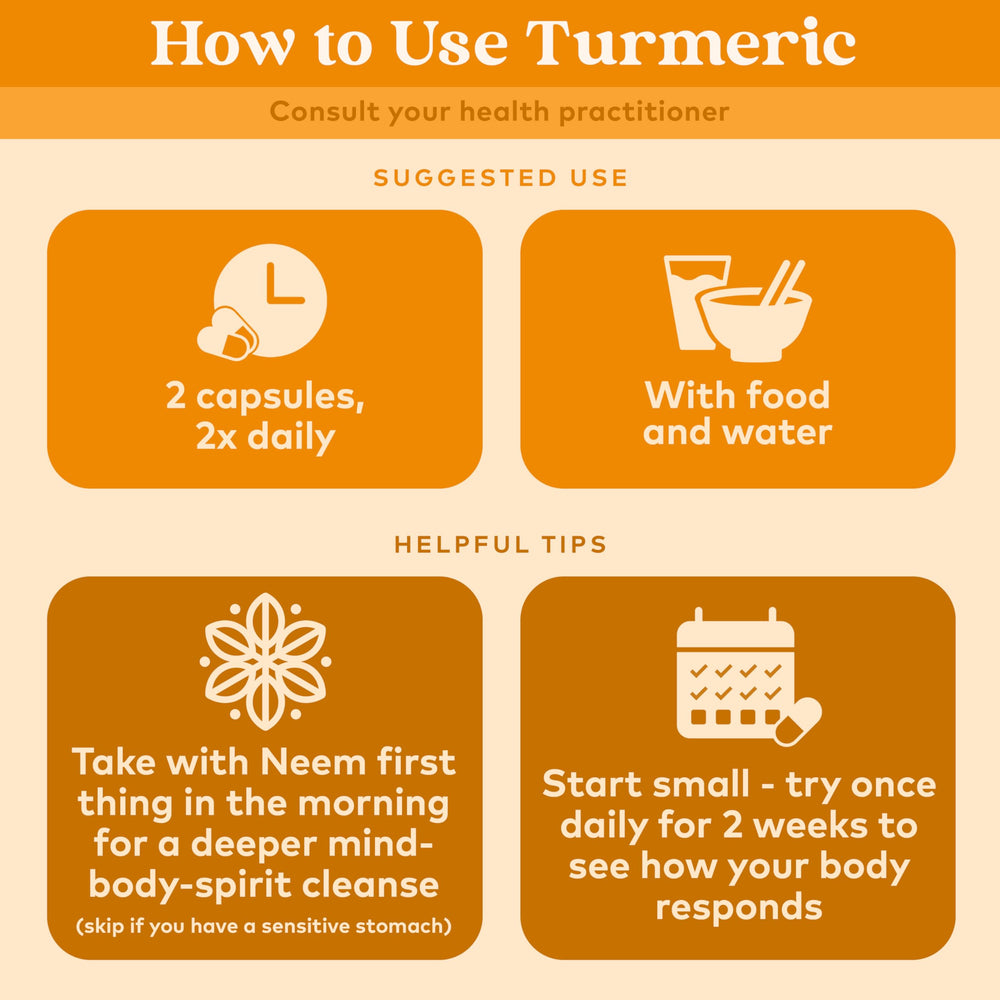 ORGANIC INDIA turmeric farm-field illustrates regenerative agriculture and sustainable sourcing