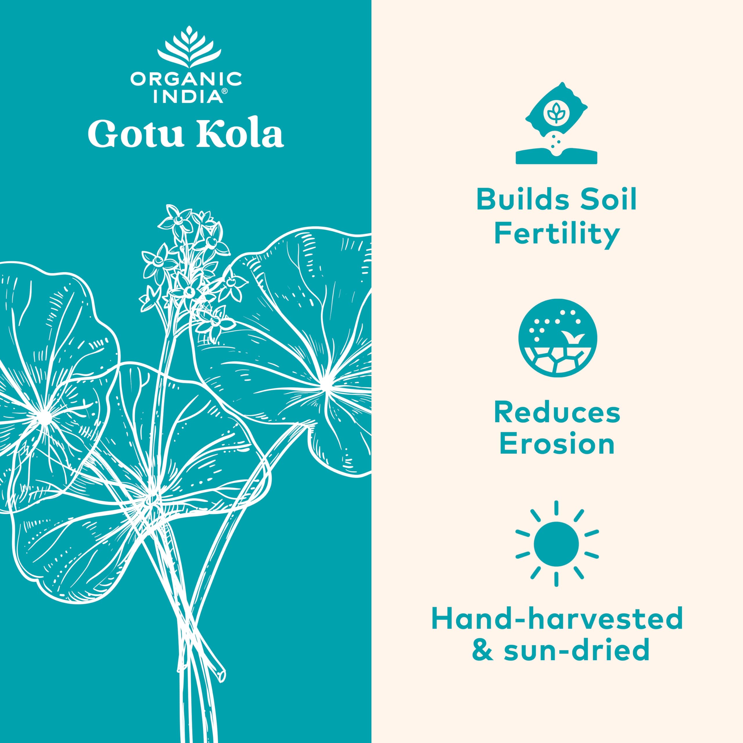 ORGANIC INDIA Gotu Kola bottle pour showing capsules for daily calm.
