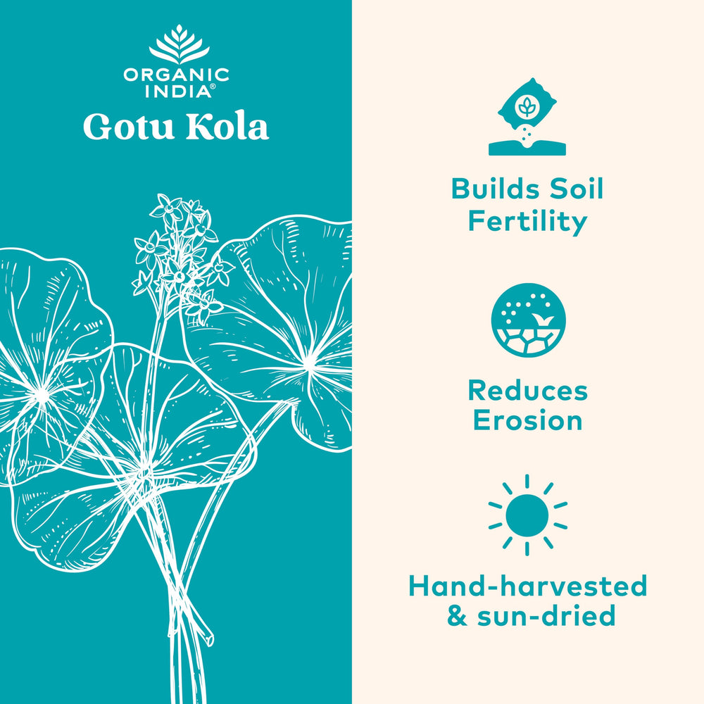 ORGANIC INDIA Gotu Kola bottle pour showing capsules for daily calm.