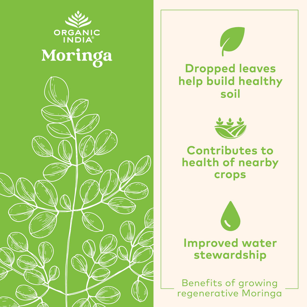 Organic India Moringa capsules close-up showing vegan daily nutrition source