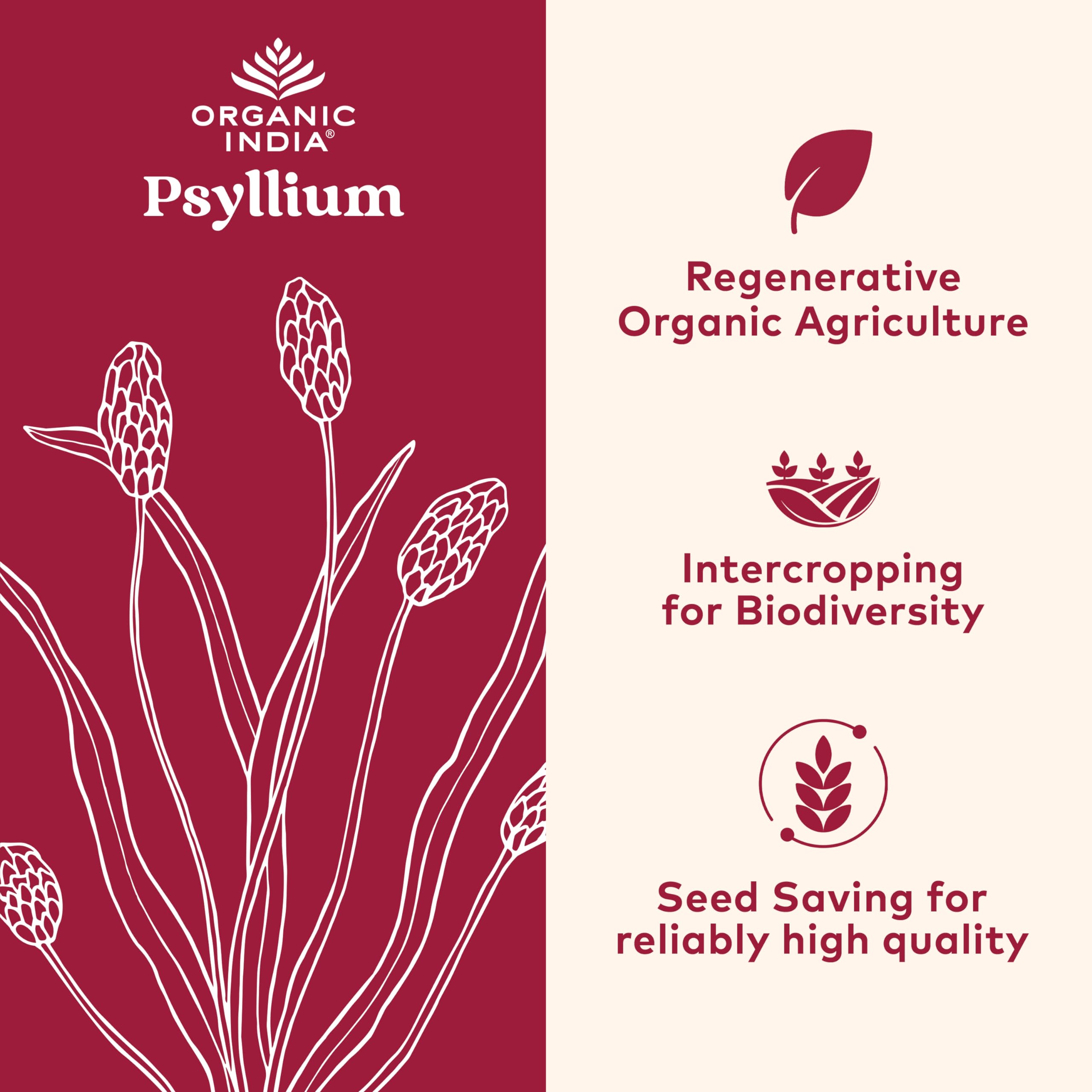 Organic India Psyllium Herbal Powder pour showing smooth mix in a drink.