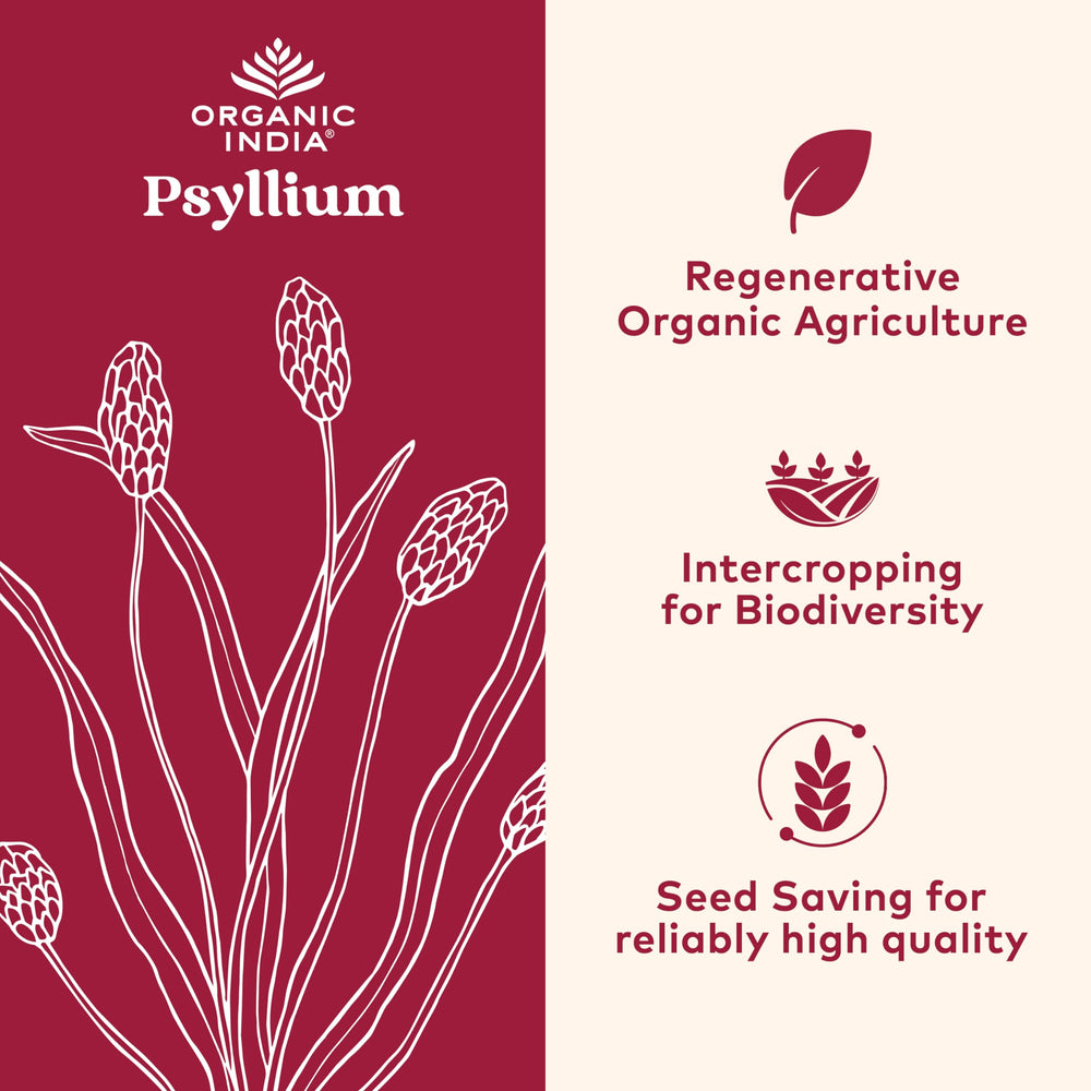 Organic India Psyllium Herbal Powder pour showing smooth mix in a drink.