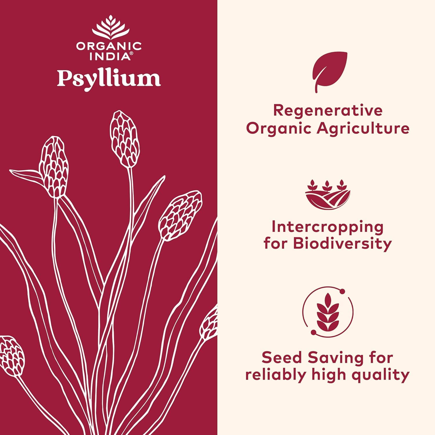 Close-up of Organic India psyllium whole husk powder for fiber