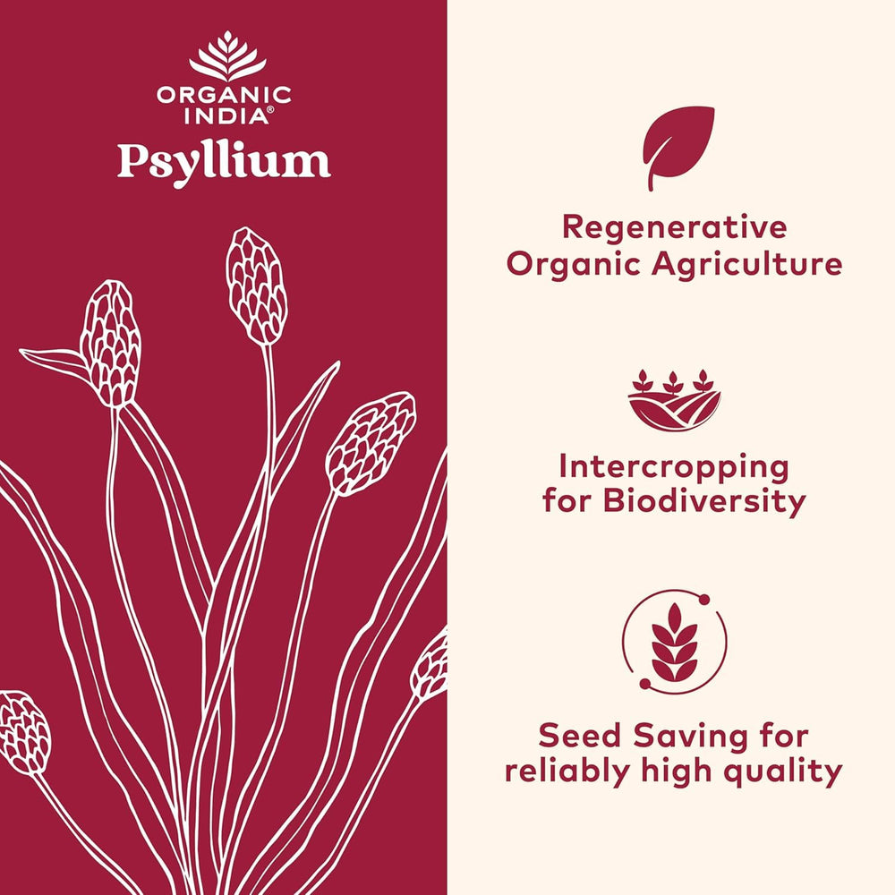 Close-up of Organic India psyllium whole husk powder for fiber