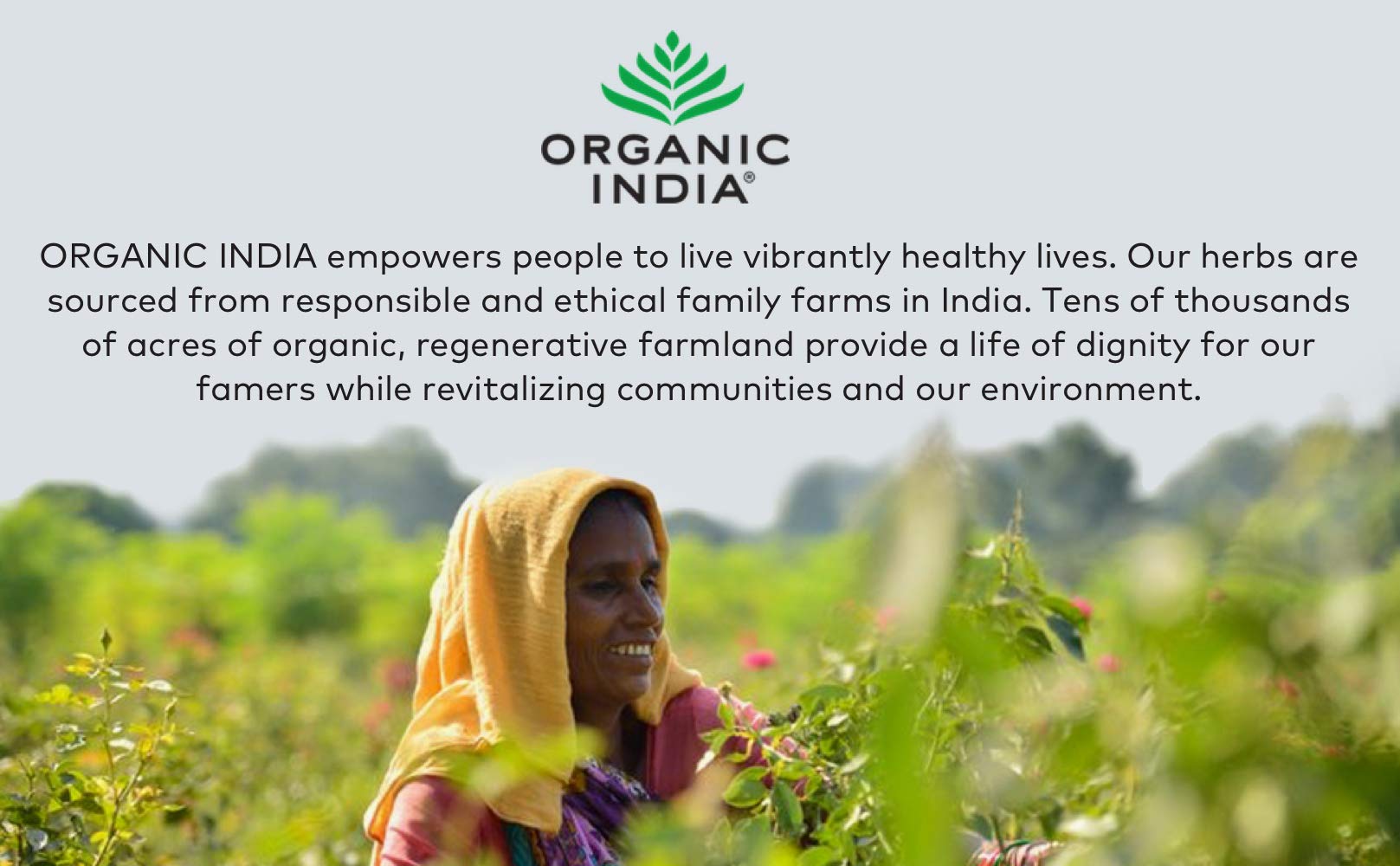 Organic India Triphala organic certifications displayed on packaging