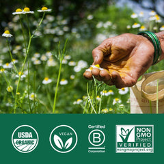 Organic India Triphala sustainably sourced from regenerative farms