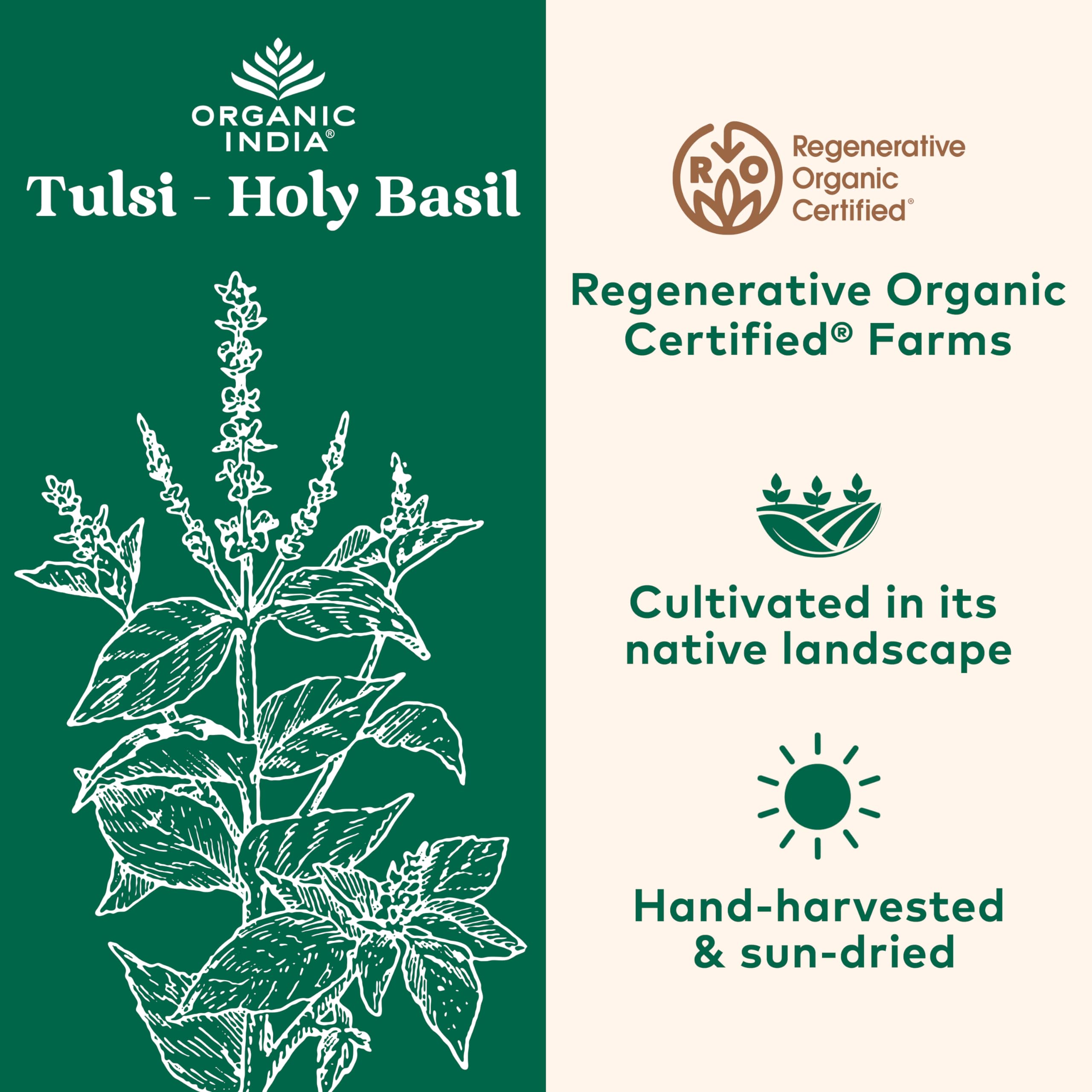Eco-friendly Organic India Tulsi capsules closeup for easy daily use