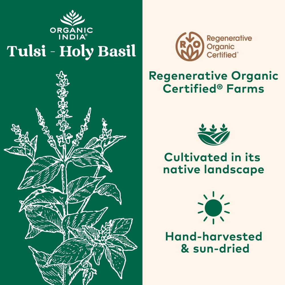 Eco-friendly Organic India Tulsi capsules closeup for easy daily use